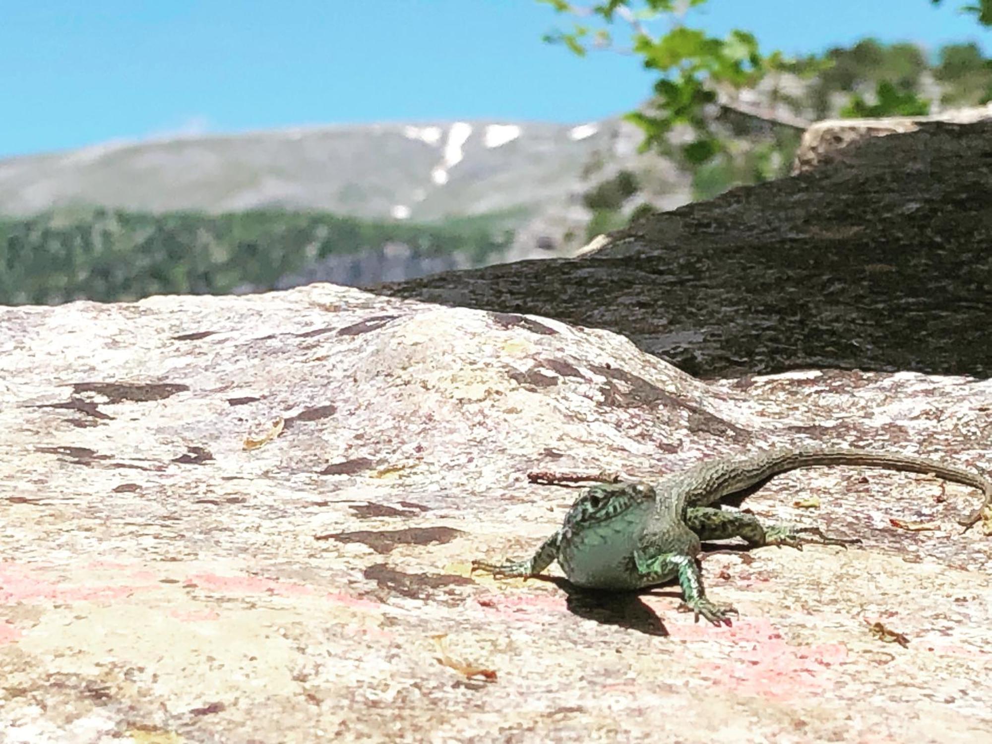 Katikia Zagori Hotel Víca Kültér fotó